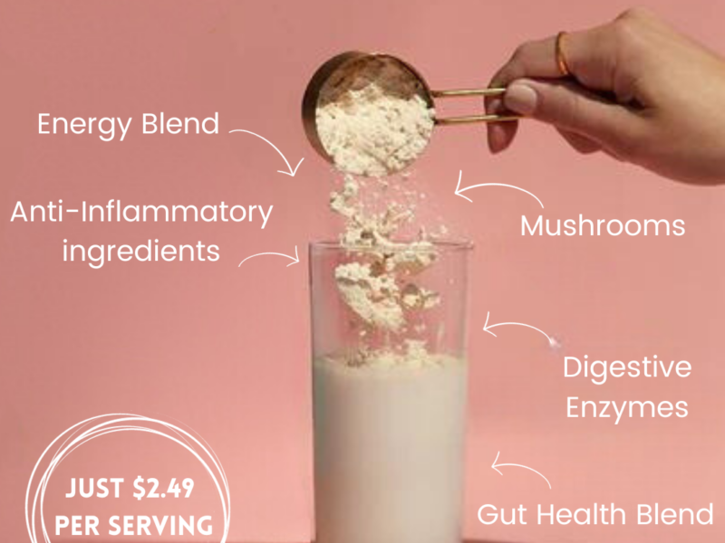 Vegan plant based protein powder with mushrooms heuristic healing nutrition best tasting vegan protein powder not gritty